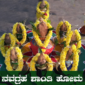 navagraha shanti homa