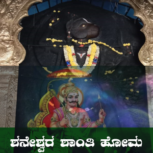 shaneshwara homa